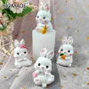 Formen 3D niedliche Kaninchen Silikonform Hasen Modell Schokolade Dessert Küche Backkuchen Form Ostern Fondant Kuchen Dekoration Werkzeuge