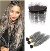 8A Malaysian Deep Wave Grey Human Hair 3 Bundles With Lace Frontal 2 Tone 1B Gray Curly Ombre Virgin Hair Weaves Dhl 8572932