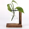 Vases Terrarium Vasevase Decoration Home Bonsai Flower Plant Vintage Pot Transparent Wooden Frame Glass Tabletop Plants