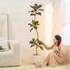 Flores decorativas Gran planta de árbol de goma de diamantes negros simulados en sala de estar interior