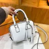 Luxury Handbag Designer Women's Brand Bag 2024 New Fashion All-in-one Women's Bag Simple Single Shoulder Crossbody Bag Women's Tote Boston Bag