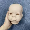 Dolls 20 Inches Reborn Baby Doll Kits Lanny New Face Realistic DIY Unfinished Unpainted Vinyl Dolls Parts Reborn Baby Doll Mold