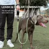 Truelove Pet Training Leash and Collar Durable Slip Lead Dog Heavy Duty Comfortable Strong Rope No Pull TLL2575 240419