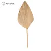 Dried Flowers 1pcs DIY Palm Fan Leaf Dried Flower Palm Leaf Window Reception Party Art Wall Hanging Decoration For Wedding Arch Arrangement