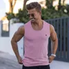 Camisetas para hombres de tanques Vestir de rayas verticales Camiseta sin mangas sin mangas para entrenamiento y fuerza del gimnasio de fitness