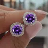 Stud schattig vrouwelijk kristal kleine ronde oorbellen klassieke zilveren kleur bruiloft sieraden charme paarse zirkoon stud oorbellen voor vrouwen D240426