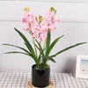 Fiori decorativi decorazione casa simulazione farfalla orchidea set pianta in vaso