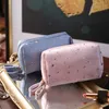 Velvet Stary Sky Cosmetic Bag, bolsa de embreagem de veludo portátil, bolsa de batom de telefone celular com zíper duplo, estilo de luxo leve