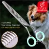 Tijeras Fenice Professional Japón 440C 6.5 pulgadas Pet Pet Grooming Deleding Scissors Tarea de la cuchilla dentada Tasa de adelgazamiento de aproximadamente 35%