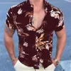 Men's Casual Shirts Hawaiian Shirt For Mens 2023 3D Print Short Sleeve Blouse Beach Holiday Top Tee Summer Oversized Mens Clothing Camisa Masculina 240424