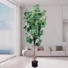 Decorative Flowers Imitation Of Real And Fake Grape Trees Green Plants Bonsai Indoor Decorations Potted