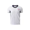 Magliette da calcio Eengland SCOTLAND SCHITT da calcio 2024 25 Euro National Team Fra nce Sspain Maglie spagnola maglia di calcio francese Francais a casa in trasferta uomini e kit per bambini