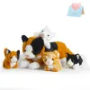 Giocattoli da 50 cm grazioso bambola gatto peluche set di giocattoli soft kitty regalo di compleanno cuscini da 5 pezzi set di animali imbalsamati per bambini bambini bambini