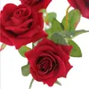 Suszone kwiaty 10pcs Wanjun sztuczna róża fałszywa róża bukiet ślub Dekora