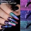 Nagellacklilycute 7 ml fließender Katzen -Magnetgel Politur mit Magnet Set Semi Permanent Glitter Nagelgel Einweichen Sie UV -Gel -Nagelkunstlack Y240425