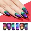 Esmalte lilycute 9d Sky Sky Magnetic Unh Nail Gel Purple Blue Cat Magic Unh Nail Gel Polish do ímã UV Gel de unhas 5ml Y240425