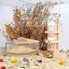 Cages hamster salle de bain maison sable de sable complet