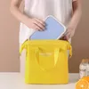 Stalen frame lunchzak grote capaciteit ijszak verdikte thermische isolatie tas werk draagbare lunchbox tas oxford lunchbag