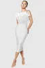 Casual Dresses Ladies Street Celebrity Temperament Dress Autumn Feather Stitching Strapless Male Party