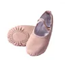 Tanzschuhe Lederspitze voller Sohle Pantoffeln Kinder Ballerina Übung Ballett Training Gebrauch