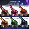 Nagellack lilycute glittrande 7 ml kattmagnetisk gel nagellack dubbel ljus regnbågeffekt semi permanent blöt av uv led varnisk manikyr y240425