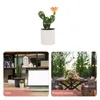 Decorative Flowers Simulation Cactus Desktop Decor Small Bonsai Ornament Tabletop Potted Plant Potting Decoration Fake