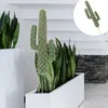 Decorative Flowers Faux Plants Indoor Cactus Model Artificial Small Ornament Mini For Indoors Adornment Landscape Banquet