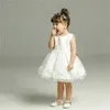 Flickans klänningar 2020 Summer Baby Girls Dress Newborn Baby White Lace Princess Dresses For Baby ärmlös födelsedagsdräkt Infant Party Dressl2404