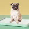 Boxes Dog Toilet For Small Dogs And Puppies Nonwet Feet And Antitrampling Dog Toilet For Large Dogs Large Plate Toilet Basin