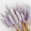 Dried Flowers 50pcs Dry Flowers Bouquet Colorful Rabbit Tail Grass Dried Flowers DIY Home Wedding Garden Decoration Party Supplies