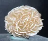 120G Naturalny pustynia róży leczenie selenitów surowy kryształowy kamień mineralny próbka szorstka próbka klastra fengshui dekoracje reki9605739