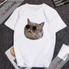 T-shirty męskie T-shirt Męskie Męskie T-sens Śliczny kot humorystyczny huh meme krótkie rękawy Y2K ubranie ulica śmieszne prezent manga Q240426