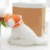 Abbigliamento per cani adorabile cappello da gatto gatto accattivante per cappello da pet in poliestere super morbido da sole con fori per le orecchie larghe