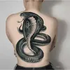 Transfert de tatouage Tatouage de dos complet pour homme punk dragon snake art temporaire tatouages imperméable faux tatouage bras goth goth tatouage tatouage 240427