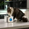 Suprimentos 3.2L Aço inoxidável alimentador de água para animais de estimação Auto Cat Fountain