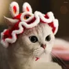 Appareils pour chiens 2024 Tiger Head Hat Pet Accessory Cat Cat Handmade Knitting Small Automne Winter De silencieux Écharpe Produits