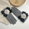 Gants d'hiver de dames coréennes mode écran tactile mignon de cinq doigts