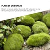 Fleurs décoratives 5 PCS Simulate Moss Stone Flockd Lawn Micro Landscape Ornaments Decoration (5pcs) Roches artificielles fausses plante