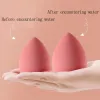 Puff 5st Powder Puff Makeup Sponge Set, Triangle Makeup Puffs For Face Body, Wet and Dry Use Foundation Blender Sponge Beauty Tools