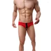 Underpants sexy Männer Unterwäsche gestreifte Patchwork -Briefs Komfort Herren Cuecas Bikini unter Verschleißhöschen für männlich