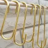 Rails 10pcs/Set Golden S Shape Haken Home Storage Store Tools Wardrobe Regal kleine große lange Mode tragbare Dekoration Haken