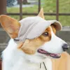 Appareils pour chiens Baseball ajusté Cap