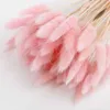 Dried Flowers 50pcs Dry Flowers Bouquet Colorful Rabbit Tail Grass Dried Flowers DIY Home Wedding Garden Decoration Party Supplies