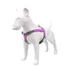 Collari per cani Lodik Portable Grande imbracatura portatile e set di guinzaglio Regolabile in pelle Realizzata per piccola trazione grande Medium Cursore per animali domestici Accessori