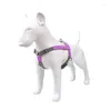 Hundhalsar Loudik Portable Big Harness and Leash Set Justerbart läder Made Webbing Small Medium Large Traction Pet Leads Tillbehör