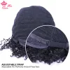 Wigs Short Human Hair Wigs Afro Kinky Curly 100% Human Hair Wig for Black Women NoneLace Wig at Good Price