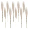 Flores decorativas 10pcs Faux Pampas Grass Decoração Decoração de Flor Art Vaso Filler Artificial Pompo Pompo Pompo Decoração Casa