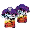 Mäns avslappnade skjortor harajuku Dolphin grafiska skjortor för män avslappnad hawaiisk strandskjorta aloha tecknad hav djur kvinnor blusar y2k pojke knapp toppar 240424