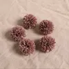 Gedroogde bloemen 5 -stks Champagne Artificial Flowers Heads Bruiloft Decoratie Fake Flowers For Home Decor Diy Christmas Wrans Craft Cadeau Accessoire