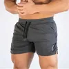 Mäns shorts 2019 Ny fitness sport shorts sommar gym träning män andas mesh shorts snabb torkning strand shorts mens sport slitage j240426